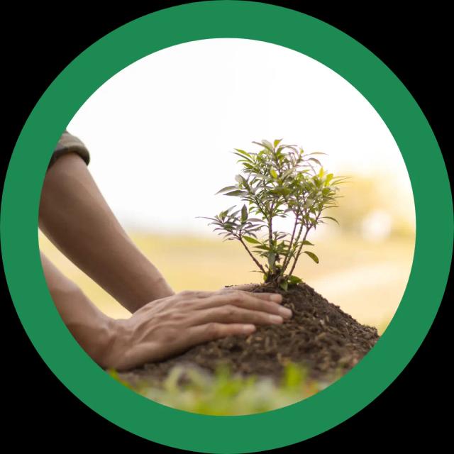 about-greenforet-img