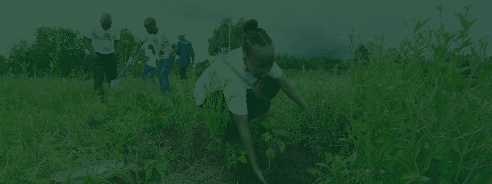 CAC Episode 7: How to Restore Degraded Ecosystems?